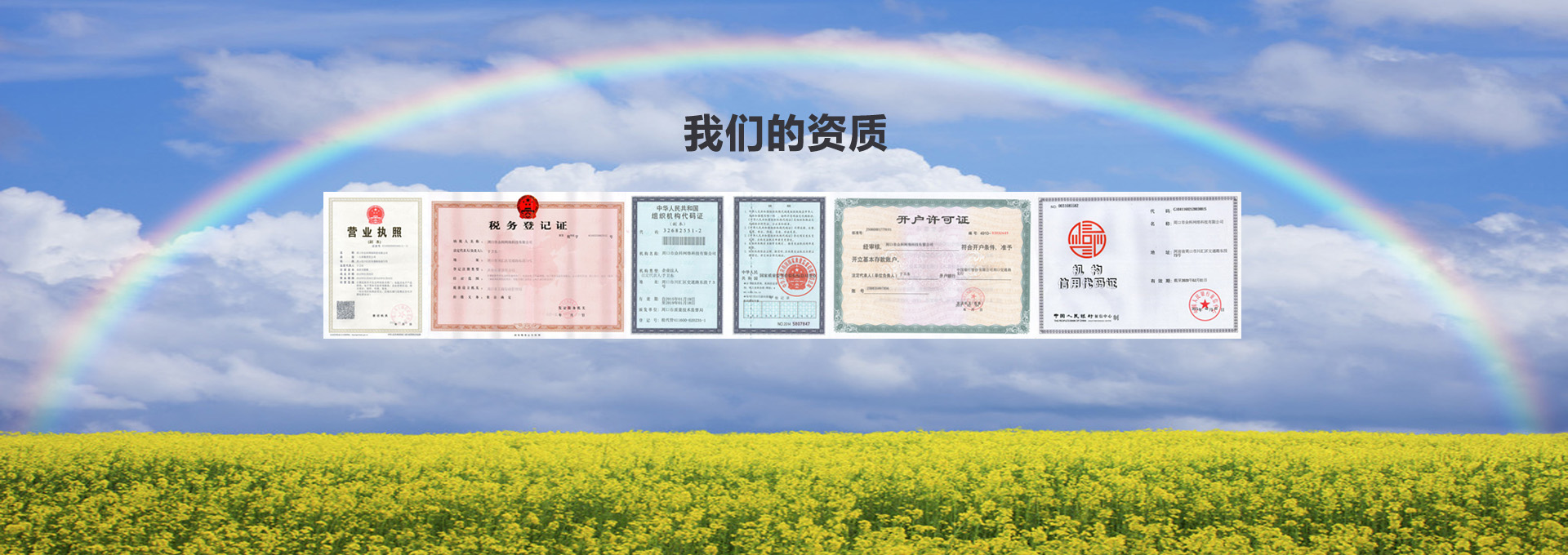 资质